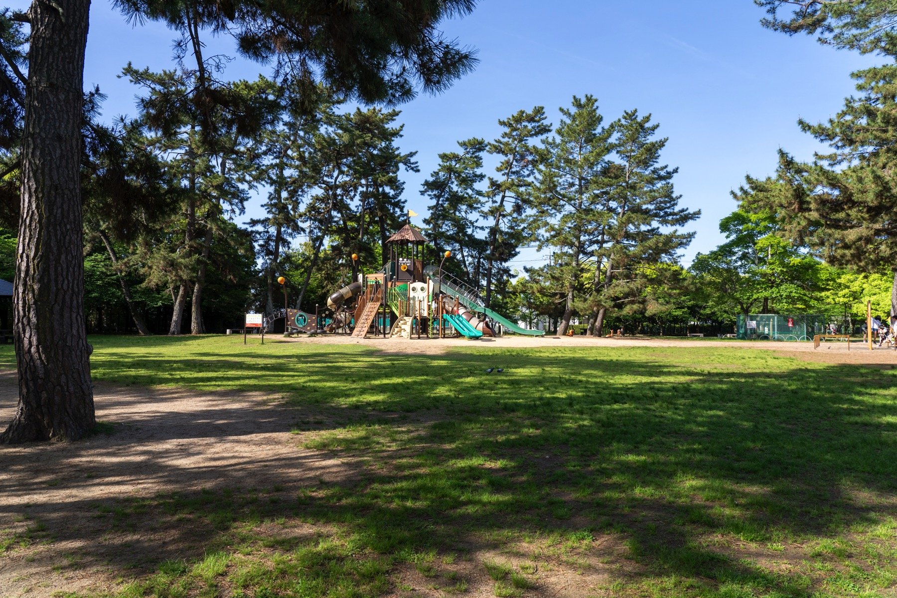 🏞️ 사카즈 공원 (사카즈 코엔) 이미지 4